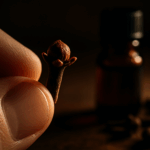 Como Usar Cravo da Índia para Dor de Dente Alívio Imediato com o Anestésico Natural da Vovó